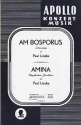 Am Bosporus / Amina fr Salonorchester