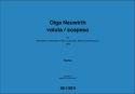 Voluta - sospeso Chamber Ensemble Buch