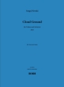 Sergej Newski, Cloud Ground Violin and Orchestra Buch
