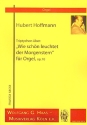 Triptychon op.10 ber Wie schn leuchtet der Morgenstern fr Orgel