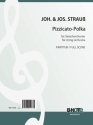 Strauss Streichorchester Partitur