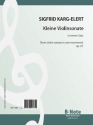 Karg-Elert, Sigfrid, Kleine Violinsonate in einem Satz op.67 Violine,Klavier Spielnoten