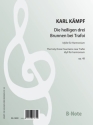 Kmpf, Karl, Die heiligen drei Brunnen bei Trafoi - Idyll op.48 Harmonium Spielnoten