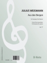 Weismann, Julius, Aus den Bergen - 12 Fantasien op.57 Klavier Spielnoten