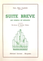 Suite breve per organo