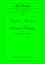 Endler, Johann Samuel Concerto in Re. Trascrizione per Organo o Clavicembalo