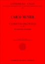 Capriccio Spagnuolo op.276 per mandolino e pianoforte