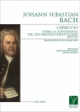 Johann Sebastian Bach, Capriccio sopra la lontananza Guitar Set Of Parts