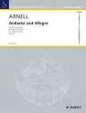 Andante and Allegro op. 58/1 für Flöte und Klavier