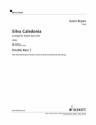Silva Caledonia fr Kontrabass-Ensemble (Minimum 8 Spieler) Kontrabass 1