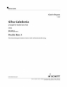 Silva Caledonia fr Kontrabass-Ensemble (Minimum 8 Spieler) Kontrabass 4