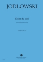 clats de ciel (+CD) pour clarinette et lectronique partition