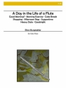 Burgstahler - A Day in the Life of a Flute Solo Flute