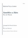 Villa-Lobos - Assobio A Jato ( The Jet Whistle) Flute and Guitar