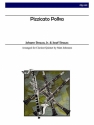 Strauss - Pizzicato Polka Clarinet Quintet