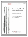 Tchaikovsky - Serenade, Op. 48 - First Movement Flute Choir