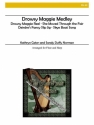 Cater & Norman - Drowsy Maggie Medley Flute and Harp