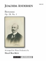 Joachim Andersen, Berceuse, Op. 28, No. 1 for Flute Orchestra Fltenensemble Partitur + Stimmen