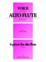 The Voice of the Alto Flute, Volume 1 Alto Flute and Piano Buch