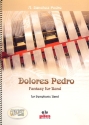 Dolores Pedro fr sinfonisches Blasorchester Partitur Din A4