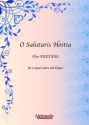 Peeters, Flor O Salutaris Hostia (10x) SSA/Organ