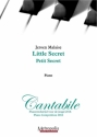 Malaise, Jeroen Little Secret Piano