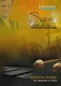 Gevers, Sam, Sadness Inside Percussion