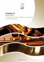 Cowboy E/Chris Vandeweyer brass instrument and piano