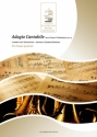 Adagio from 'Sonate Pathetique/L.V. Beethoven brass quartet