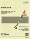 Walzer Capriccio aus op.49 fr Klarinette und Klavier