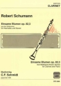 Robert Schumann  Einsame Blumen fr Klarinette und Klavier