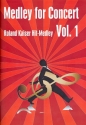 Roland Kaiser-Hit-Medley Band 1 fr Salonorchester Partitur und Stimmen