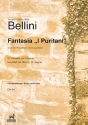 Fantasia I Puritani fr Klarinette und Orchester fr Klarinette und Klavier