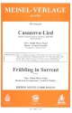 Casanova-Lied   und   Frhling in Sorrent - fr Salonorchester