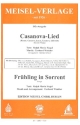 Casanova-Lied   und   Frhling in Sorrent - fr Salonorchester