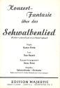 Schwalbenlied: fr Salonorchester
