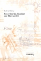Concertino fr Akkordeon, Flte, Klarinette, Oboe, Fagott und Horn Partitur und Akkordeonstimme
