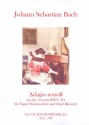 Adagio a-Moll BWV564  fr Fagott (Violoncello) und Orgel (Klavier)
