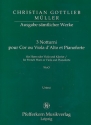 3 Notturni WoO fr Horn (Viola) und Klavier