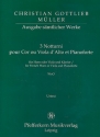 3 Notturni WoO fr Horn (Viola) und Klavier