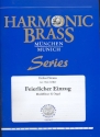 Feierlicher Einzug fr 2 Trompeten, Horn, Posaune, Tuba und Orgel Stimmen