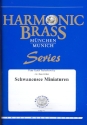 Schwanensee Miniaturen fr 2 Trompeten, Horn, Posaune und Tuba Partitur und Stimmen