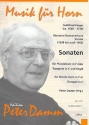2 Sonaten fr Piccolohorn (Trompete in C) und Orgel