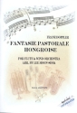 Fantasie pastorale hongroise für Flöte und Blasorchester Partitur und Stimmen