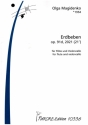 Erdbeben op.91d fr Flte und Violoncello