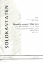 Gaudete mecum filiae Sio fr Sopran, 2 Violinen und Bc 2 Partituren und Instrumentalstimmen (dt/la)