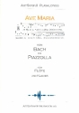 Ave Maria - Von Bach bis Piazzolla (+CD) fr Flte und Klavier