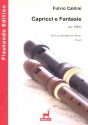 Capricci e Fantasie op.136c fr Sopranblockflte und Klavier