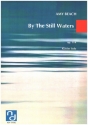 By the still Waters op.114 fr Klavier solo
