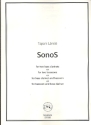 SonoS for 2 bass clarinets (bassoons/bass clarinet and bassoon) 2 scores (in c and in bb)